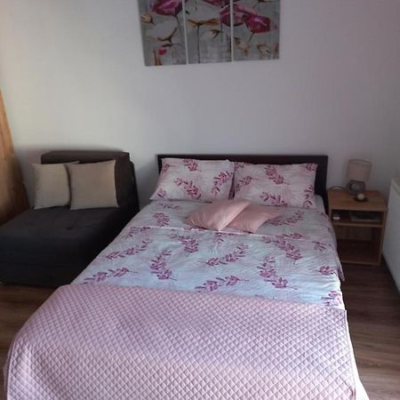 Apartman Moka Banja Koviljaca Ngoại thất bức ảnh